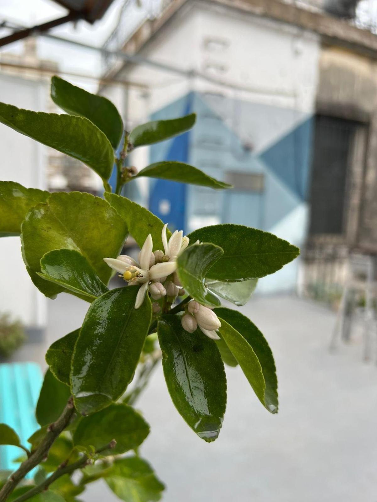 High Hostel Rosario Ngoại thất bức ảnh